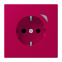 JUNG HOME SCHUKO socket - JUNG (pavadinimas tikslinamas)