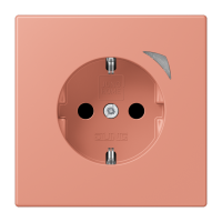 JUNG HOME SCHUKO socket - JUNG (pavadinimas tikslinamas)