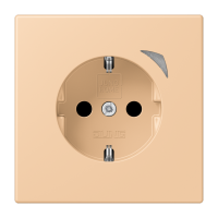 JUNG HOME SCHUKO socket - JUNG (pavadinimas tikslinamas)