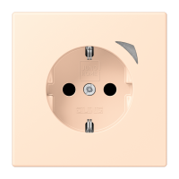 JUNG HOME SCHUKO socket - JUNG (pavadinimas tikslinamas)