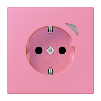 JUNG HOME SCHUKO socket - JUNG (pavadinimas tikslinamas)