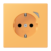 JUNG HOME SCHUKO socket - JUNG (pavadinimas tikslinamas)