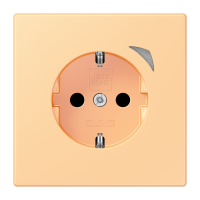 JUNG HOME SCHUKO socket - JUNG (pavadinimas tikslinamas)