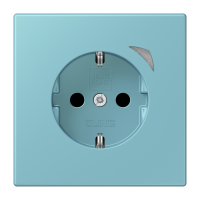 JUNG HOME SCHUKO socket Energy - JUNG (pavadinimas tikslinamas)