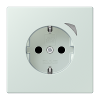 JUNG HOME SCHUKO socket Energy - JUNG (pavadinimas tikslinamas)