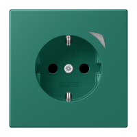 JUNG HOME SCHUKO socket Energy - JUNG (pavadinimas tikslinamas)