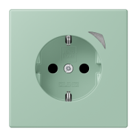 JUNG HOME SCHUKO socket Energy - JUNG (pavadinimas tikslinamas)