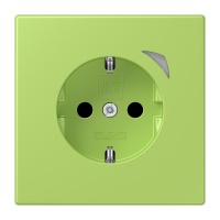 JUNG HOME SCHUKO socket Energy - JUNG (pavadinimas tikslinamas)