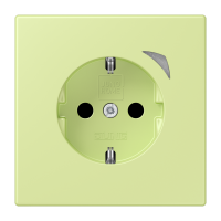 JUNG HOME SCHUKO socket Energy - JUNG (pavadinimas tikslinamas)