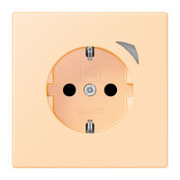 JUNG HOME SCHUKO socket Energy - JUNG (pavadinimas tikslinamas)