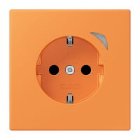 JUNG HOME SCHUKO socket Energy - JUNG (pavadinimas tikslinamas)