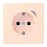 JUNG HOME SCHUKO socket Energy - JUNG (pavadinimas tikslinamas)