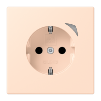 JUNG HOME SCHUKO socket Energy - JUNG (pavadinimas tikslinamas)