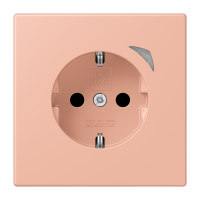 JUNG HOME SCHUKO socket Energy - JUNG (pavadinimas tikslinamas)