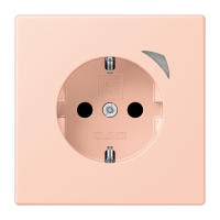 JUNG HOME SCHUKO socket Energy - JUNG (pavadinimas tikslinamas)