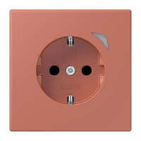 JUNG HOME SCHUKO socket Energy - JUNG (pavadinimas tikslinamas)