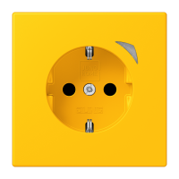 JUNG HOME SCHUKO socket Energy - JUNG (pavadinimas tikslinamas)