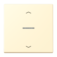 JUNG HOME push-button 1-gang with arrow - JUNG (pavadinimas tikslinamas)