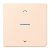 JUNG HOME push-button 1-gang with arrow - JUNG (pavadinimas tikslinamas)