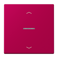 JUNG HOME push-button 1-gang with arrow - JUNG (pavadinimas tikslinamas)