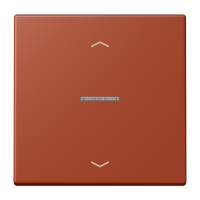 JUNG HOME push-button 1-gang with arrow - JUNG (pavadinimas tikslinamas)
