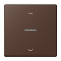JUNG HOME push-button 1-gang with arrow - JUNG (pavadinimas tikslinamas)