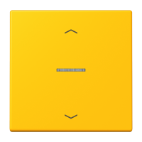JUNG HOME push-button 1-gang with arrow - JUNG (pavadinimas tikslinamas)