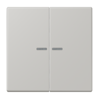 JUNG HOME push-button 2-gang - JUNG (pavadinimas tikslinamas)