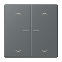 JUNG HOME push-button 2-gang with arrow - JUNG (pavadinimas tikslinamas)