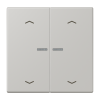 JUNG HOME push-button 2-gang with arrow - JUNG (pavadinimas tikslinamas)