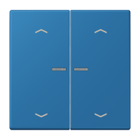 JUNG HOME push-button 2-gang with arrow - JUNG (pavadinimas tikslinamas)