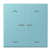 JUNG HOME push-button 2-gang with arrow - JUNG (pavadinimas tikslinamas)
