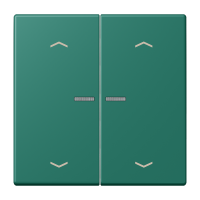 JUNG HOME push-button 2-gang with arrow - JUNG (pavadinimas tikslinamas)