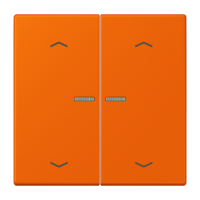 JUNG HOME push-button 2-gang with arrow - JUNG (pavadinimas tikslinamas)