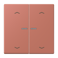 JUNG HOME push-button 2-gang with arrow - JUNG (pavadinimas tikslinamas)