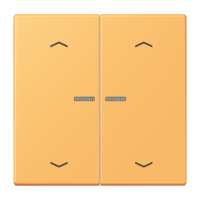 JUNG HOME push-button 2-gang with arrow - JUNG (pavadinimas tikslinamas)
