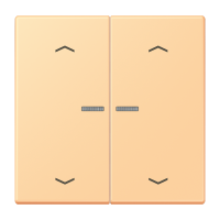 JUNG HOME push-button 2-gang with arrow - JUNG (pavadinimas tikslinamas)