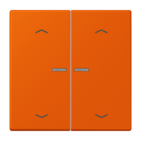 JUNG HOME push-button 2-gang with arrow - JUNG (pavadinimas tikslinamas)