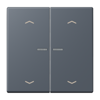 JUNG HOME push-button 2-gang with arrow - JUNG (pavadinimas tikslinamas)
