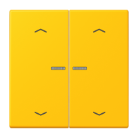 JUNG HOME push-button 2-gang with arrow - JUNG (pavadinimas tikslinamas)