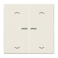 JUNG HOME push-button 2-gang with arrow - JUNG (pavadinimas tikslinamas)