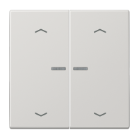JUNG HOME push-button 2-gang with arrow - JUNG (pavadinimas tikslinamas)