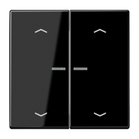 JUNG HOME push-button 2-gang with arrow - JUNG (pavadinimas tikslinamas)