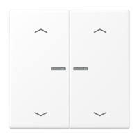 JUNG HOME push-button 2-gang with arrow - JUNG (pavadinimas tikslinamas)