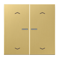 JUNG HOME push-button 2-gang with arrow - JUNG (pavadinimas tikslinamas)