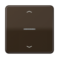 Rocker for push-button 1-gang, lens, arr - JUNG (pavadinimas tikslinamas)