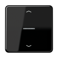 Rocker for push-button 1-gang, lens, arr - JUNG (pavadinimas tikslinamas)