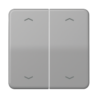 Rocker for push-button 2-gang, arrows - JUNG (pavadinimas tikslinamas)