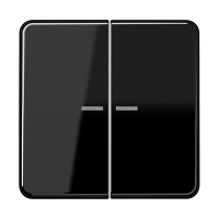 KNX RF centre plate 2-gang - JUNG (pavadinimas tikslinamas)