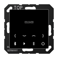 SCHUKO socket - JUNG (pavadinimas tikslinamas)